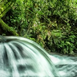 ICMS Ecológico: IAT prorroga prazo para municípios apresentarem relatórios
