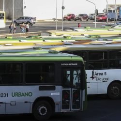 seca_bsb_vac_abr_1808221624.jpg