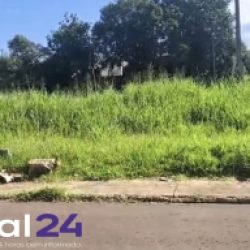 Morador reclama de mato alto próximo a ponto de ônibus no bairro Brasília 1