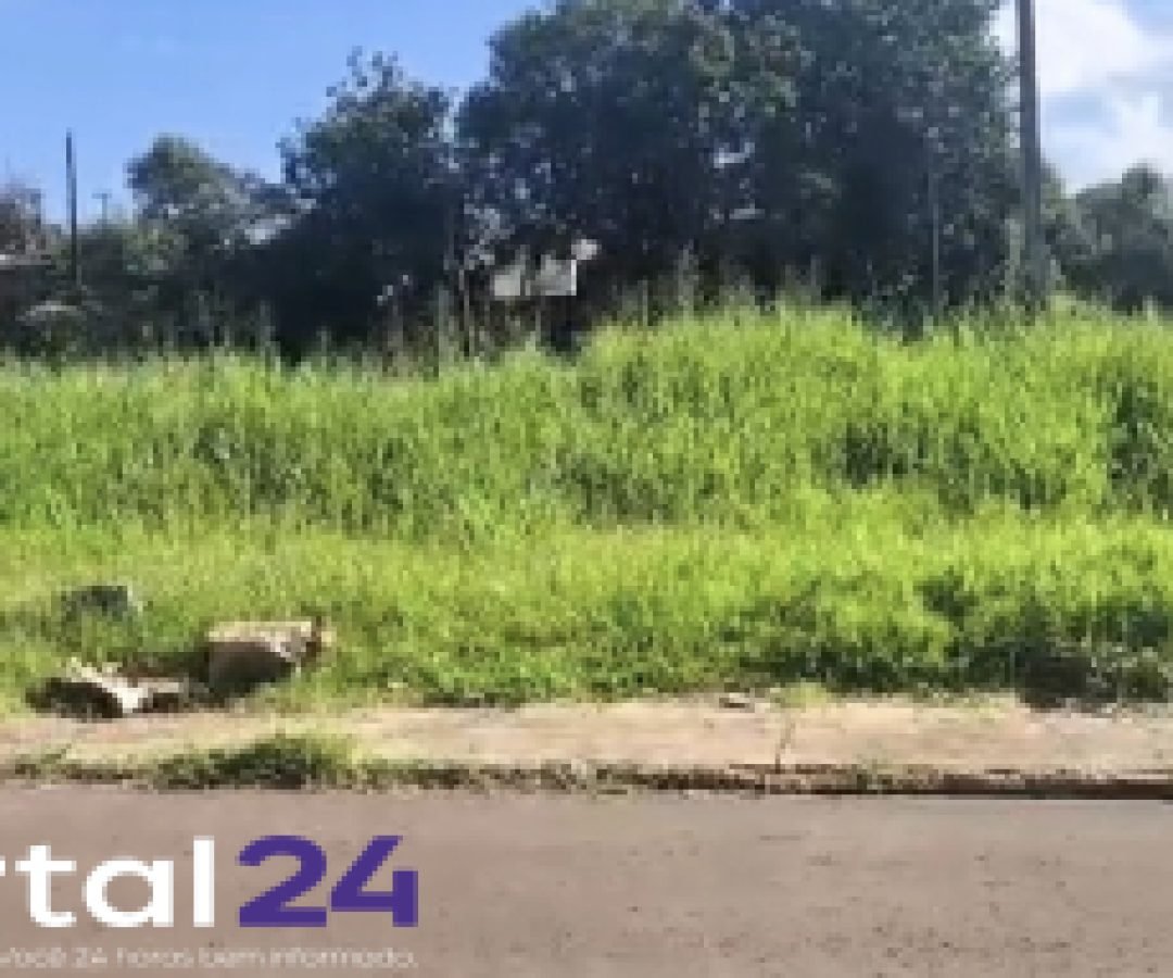 Morador reclama de mato alto próximo a ponto de ônibus no bairro Brasília 1