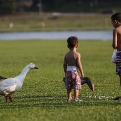 Semana terá temperaturas elevadas e pancadas isoladas de chuva no Paraná