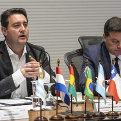 Curitiba, 23 de outubro de 2025 - Sessão plenária da Zicosul (por videoconferência).
