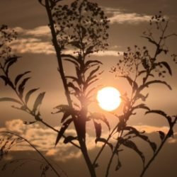 Sexta-feira terá sol, tempo firme e máxima de 24°C em Cascavel