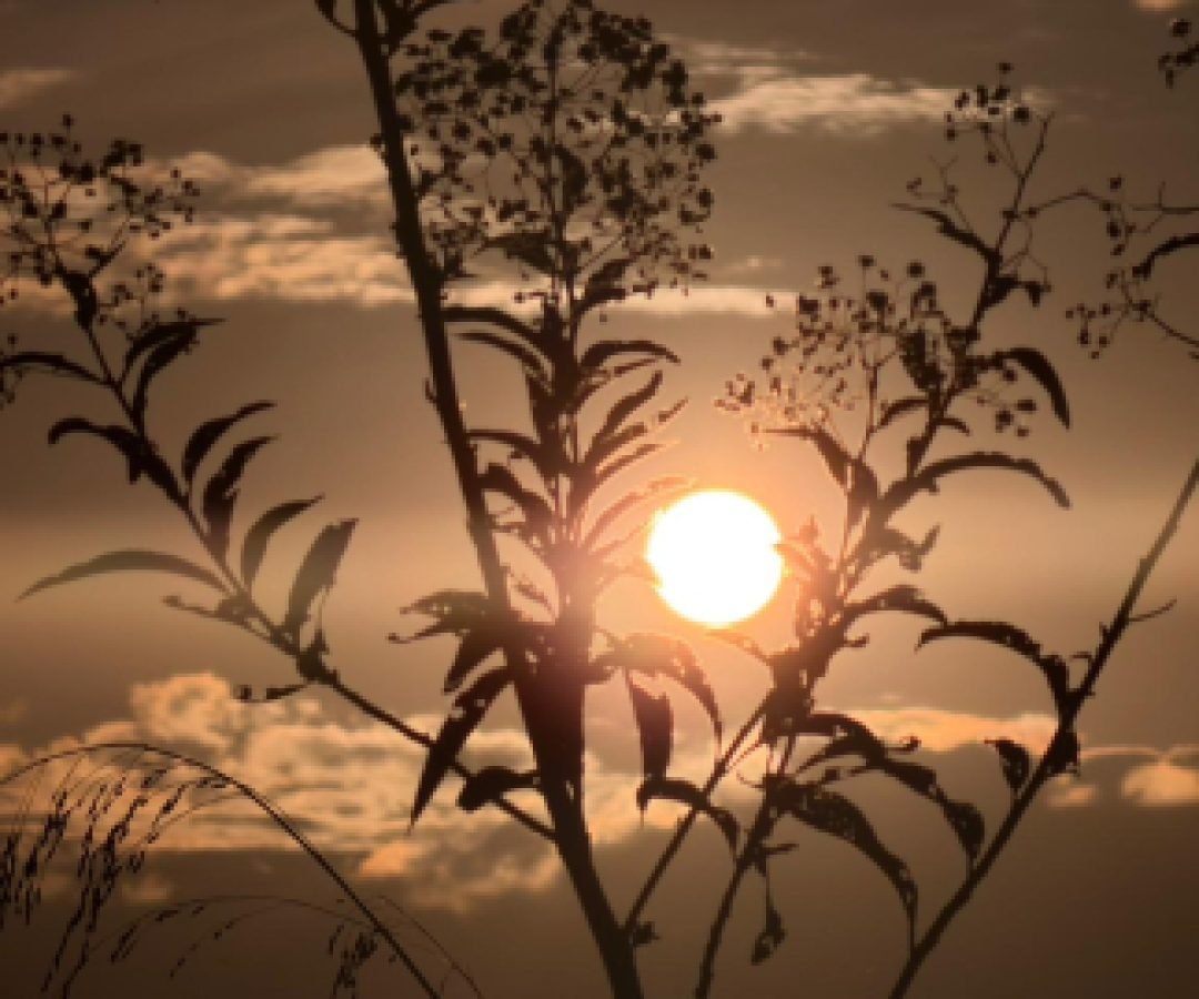 Sexta-feira terá sol, tempo firme e máxima de 24°C em Cascavel