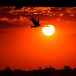 Com La Niña, verão 2025/2026 foi marcado por chuvas irregulares e temperatura de 39,7°C