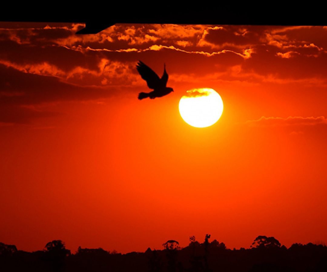 Com La Niña, verão 2025/2026 foi marcado por chuvas irregulares e temperatura de 39,7°C