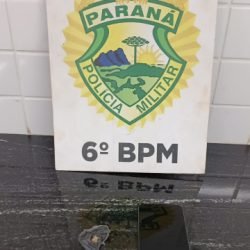 Suspeito de tráfico resiste à prisão, foge e é preso após perseguição no bairro Santo Onofre, em Cascavel