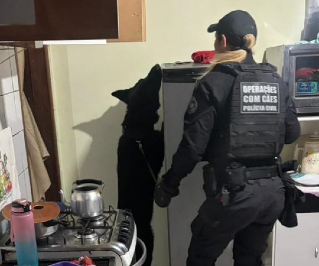 Forças de segurança prendem 21 pessoas em operação contra organização criminosa