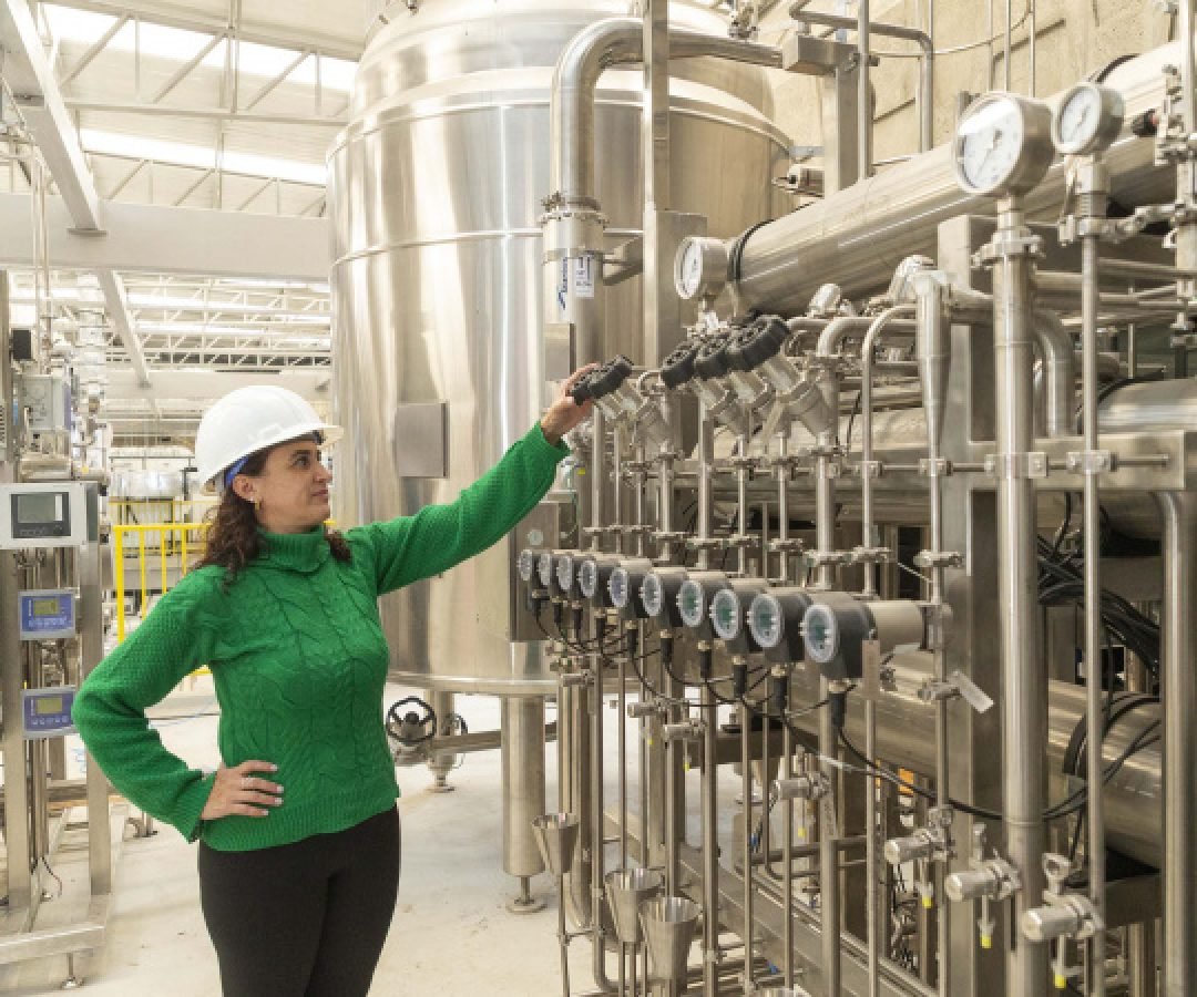 Tecpar inicia pesquisa para produção de insumos para diagnóstico da brucelose