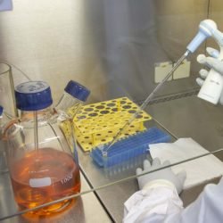 Novo fornecedor do SUS, Tecpar explica o caminho da vacina até o braço da população