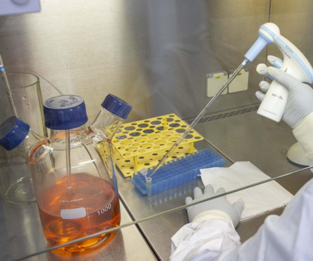 Novo fornecedor do SUS, Tecpar explica o caminho da vacina até o braço da população