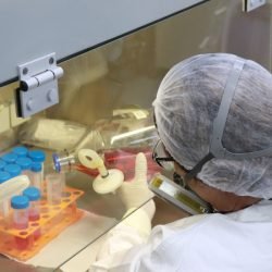 Tecpar amplia estratégias para abordagem que integra saúde humana, animal e ambiental