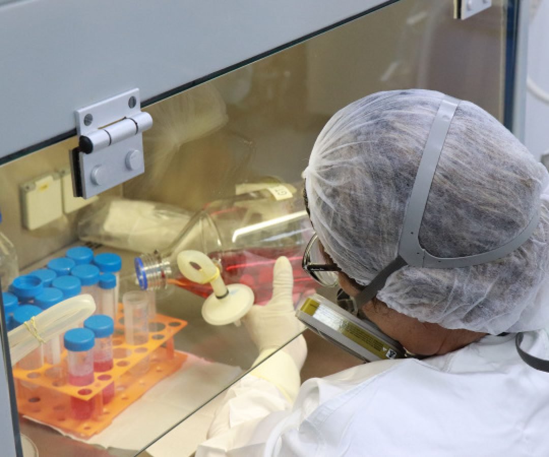 Tecpar amplia estratégias para abordagem que integra saúde humana, animal e ambiental