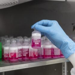 Parceria entre Tecpar e UFPR fortalece processo de produção de vacina antirrábica veterinária