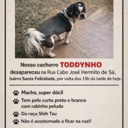 Toddynho desapareceu no Santa Felicidade