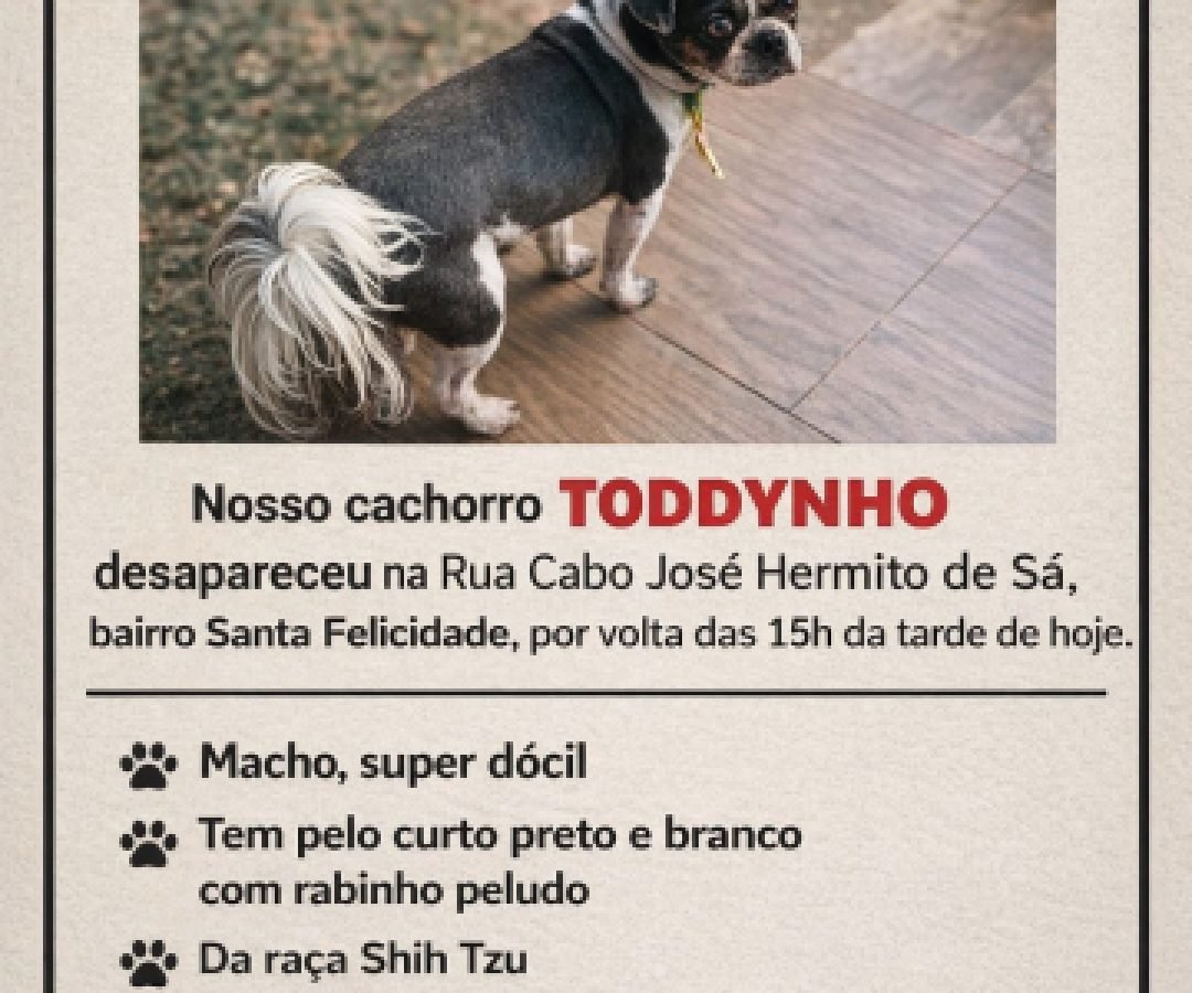 Toddynho desapareceu no Santa Felicidade