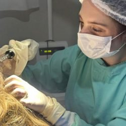 Hospital de Dermatologia Sanitária do Paraná é referência em diagnóstico e tratamento da alopecia