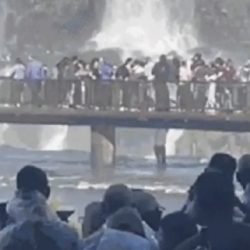 Turista ignora segurança e se arrisca ao pular grade nas Cataratas do Iguaçu