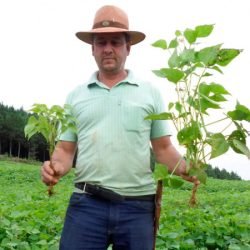 Em novo edital, Sanepar disponibiliza 1,5 mil toneladas de biossólido para a agricultura
