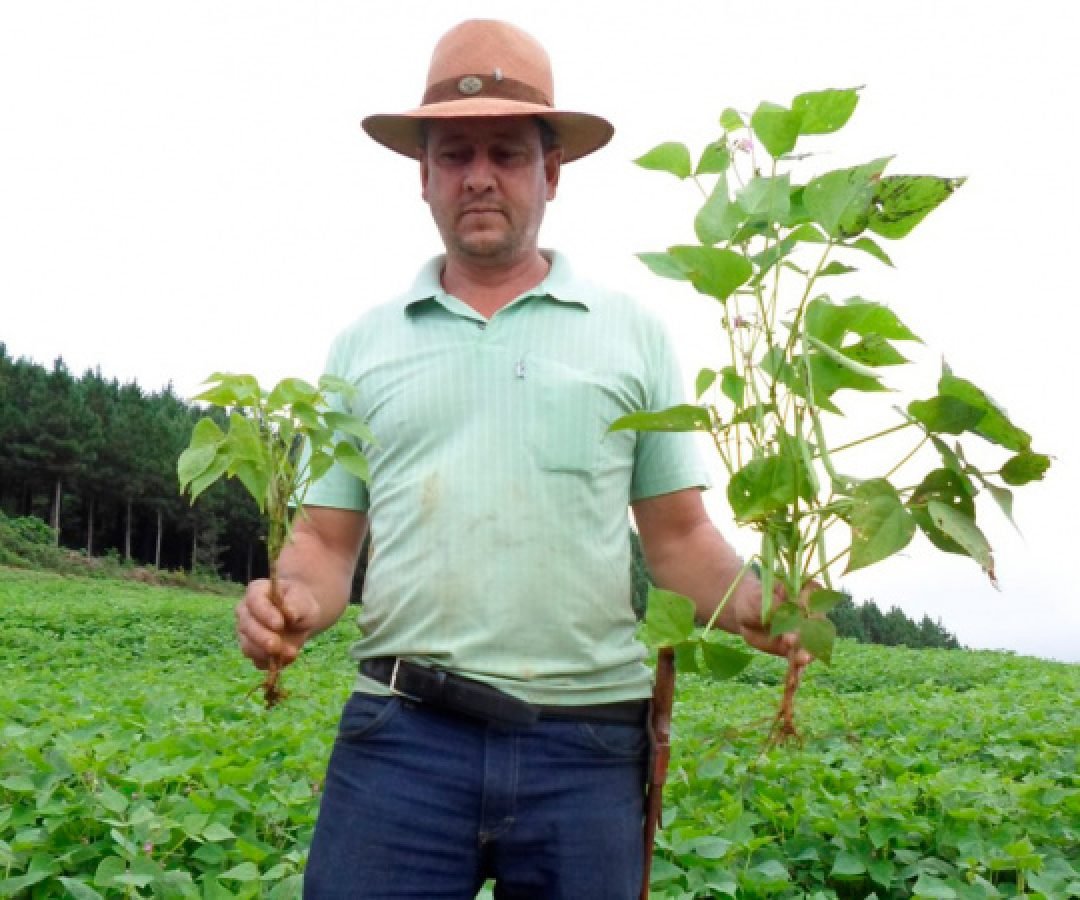 Em novo edital, Sanepar disponibiliza 1,5 mil toneladas de biossólido para a agricultura