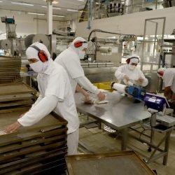 Agências do Trabalhador do Paraná têm 25,3 mil vagas em todos os setores da economia