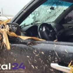 Veículo com carga de cigarros contrabandeados é abandonado após fuga em área rural