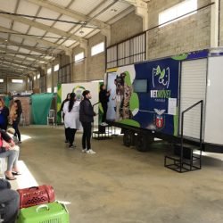 Dia Nacional da Imunização Animal: campanha estadual leva prevenção e bem-estar aos pets