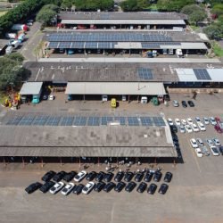 Ceasas de Londrina e Maringá estarão abertas no feriado de segunda-feira, 12 de outubro