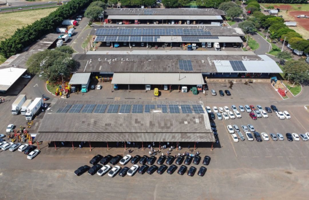 Ceasas de Londrina e Maringá estarão abertas no feriado de segunda-feira, 12 de outubro