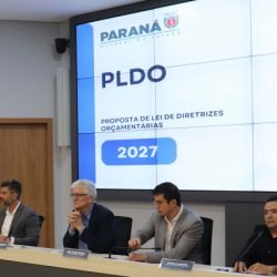 Em audiência pública, Governo do Paraná elenca prioridades para o orçamento de 2027