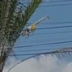 Vídeo mostra helicóptero Falcão interceptando suspeito de tentativa de homicídio