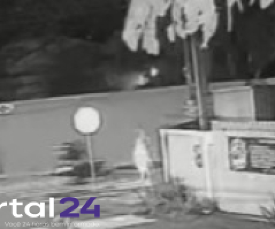 Vídeo mostra momento em que idoso é atropelado por motocicleta em Ponta Grossa