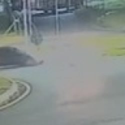 Vídeo mostra motorista fugindo após acidente no Trevo da Portal