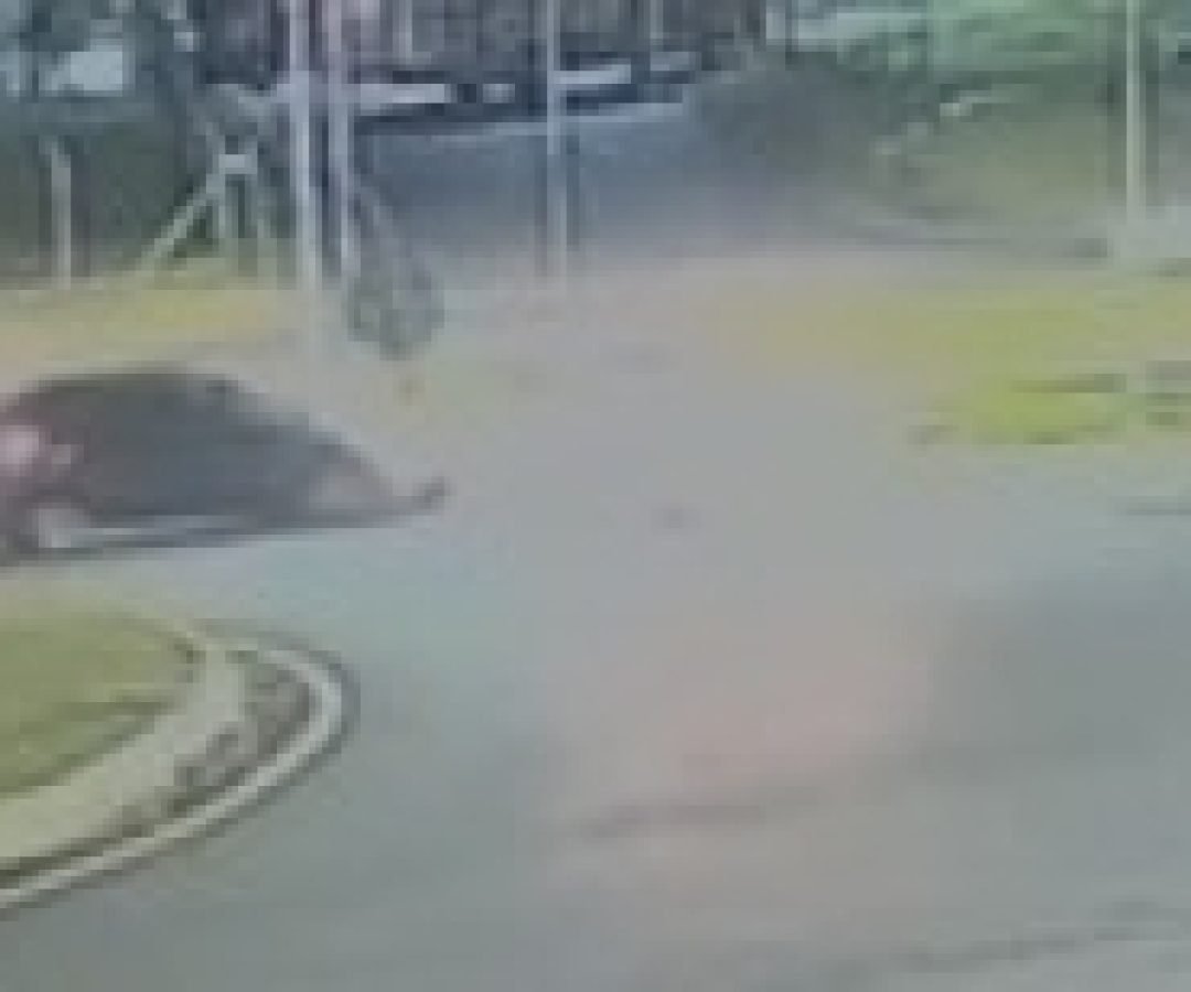 Vídeo mostra motorista fugindo após acidente no Trevo da Portal