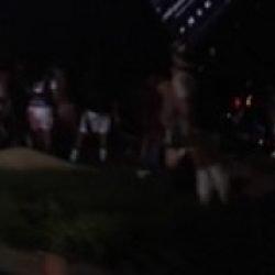 Vídeo mostra populares saqueando carga de grãos na BR-277