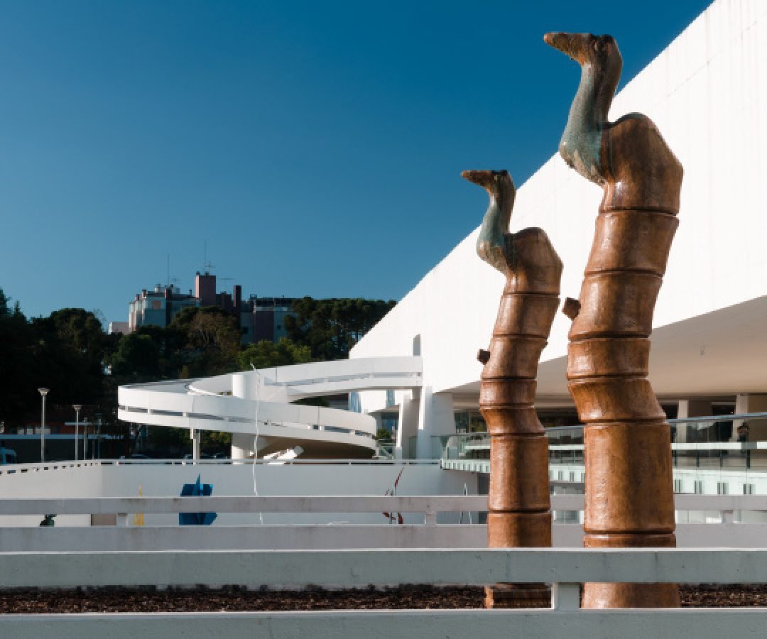 Museu Oscar Niemeyer divulga datas das visitas guiadas no mês de maio