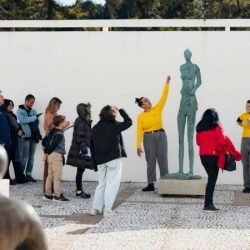 MON vai promover cinco visitas guiadas em janeiro