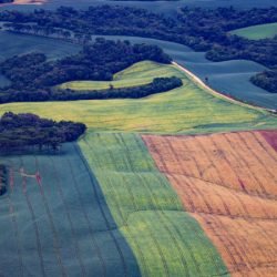 TRF4 mantém decisão que garante regularização ambiental e segurança jurídica a agricultores paranaenses
