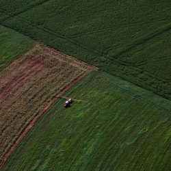 VBP Agropecuário do Paraná cresce 13% e alcança R$ 212,6 bilhões em 2025