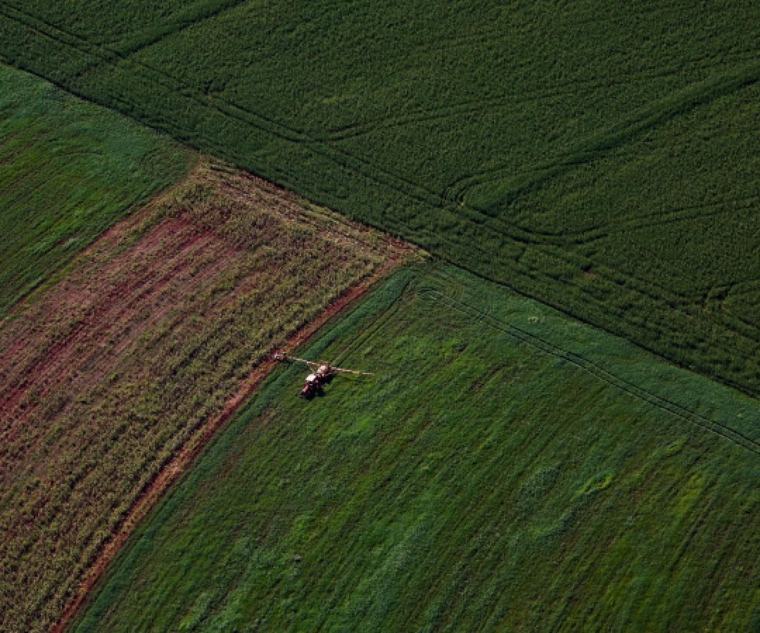 VBP Agropecuário do Paraná cresce 13% e alcança R$ 212,6 bilhões em 2025