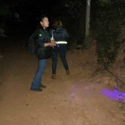 Ações da Saúde no Norte Pioneiro capturam mais de 5 mil escorpiões desde agosto