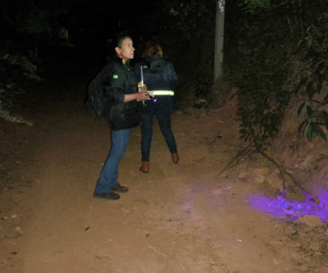 Ações da Saúde no Norte Pioneiro capturam mais de 5 mil escorpiões desde agosto