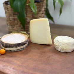 Queijos paranaenses batem produtos de 50 países e são premiados no Mundial da Suíça