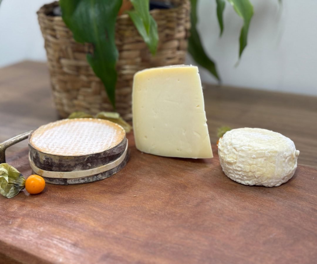 Queijos paranaenses batem produtos de 50 países e são premiados no Mundial da Suíça