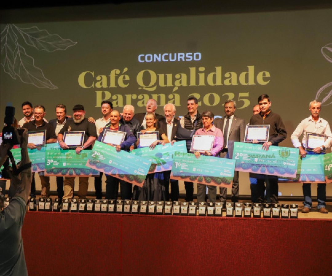 Produtoras de Apucarana e Pinhalão vencem o Concurso Café Qualidade 2025