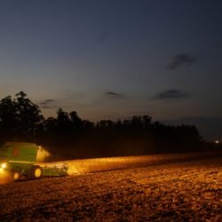 Portaria do Paraná amplia período de plantio da soja para produção de sementes
