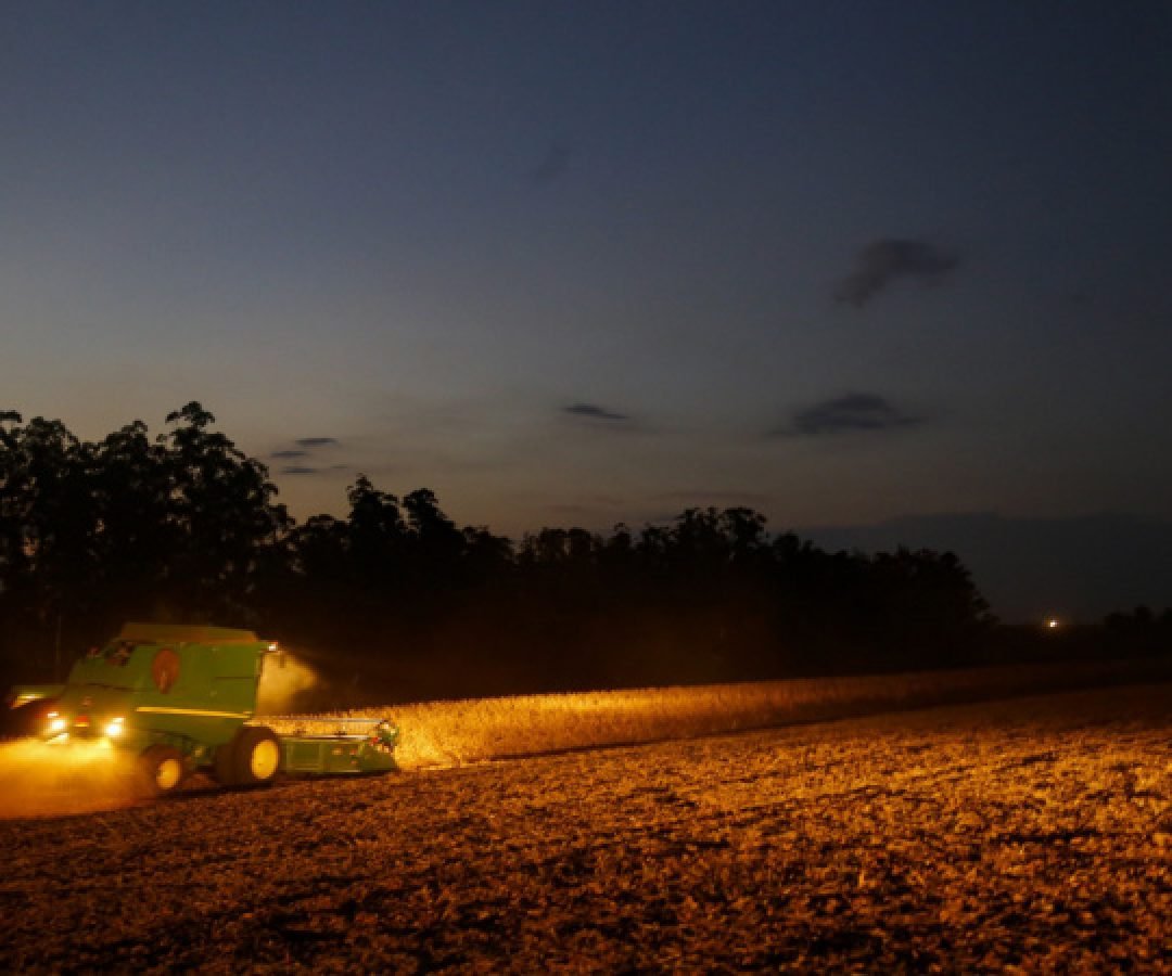 Portaria do Paraná amplia período de plantio da soja para produção de sementes