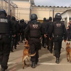 Preparo e tecnologia: Setor de Operações Especiais da Polícia Penal completa 12 anos