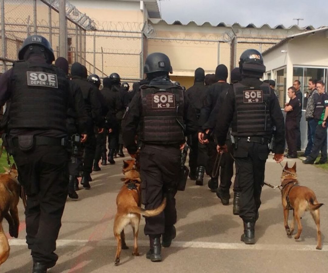 Preparo e tecnologia: Setor de Operações Especiais da Polícia Penal completa 12 anos
