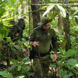 Operação ambiental da PMPR no Superagui destrói estruturas ilegais na APA de Guaraqueçaba